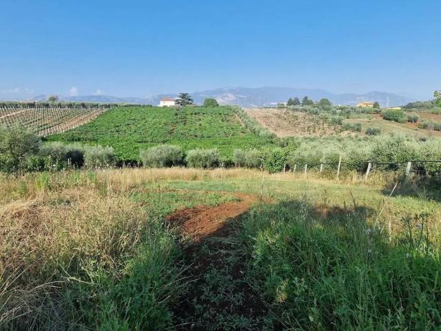Terreno in vendita a Velletri, Roma Capitale