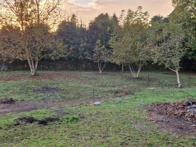 Terreno in vendita a Roma Capitale, Lazio