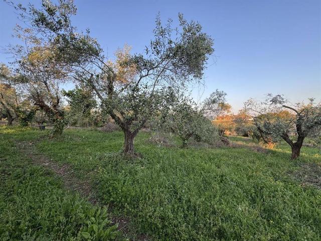 Terreno in vendita a Roma Capitale, Lazio