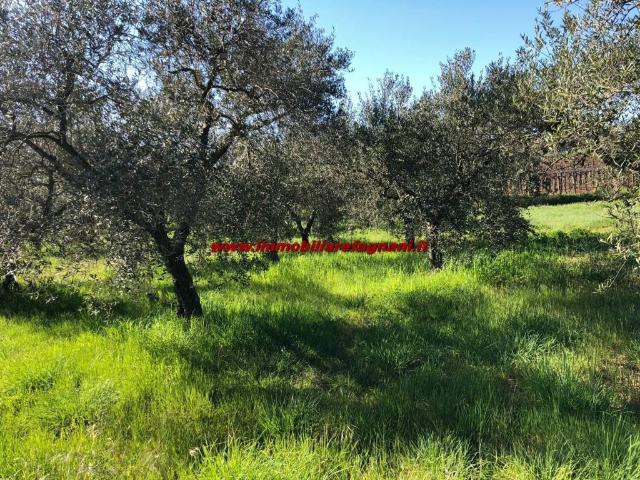 Terreno in vendita a Ulica, Roma Capitale