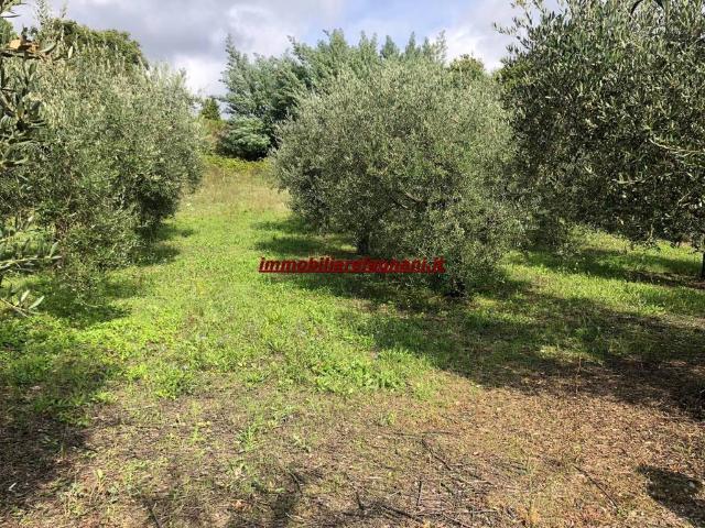 Terreno in vendita a Colle Angeloni, Roma Capitale