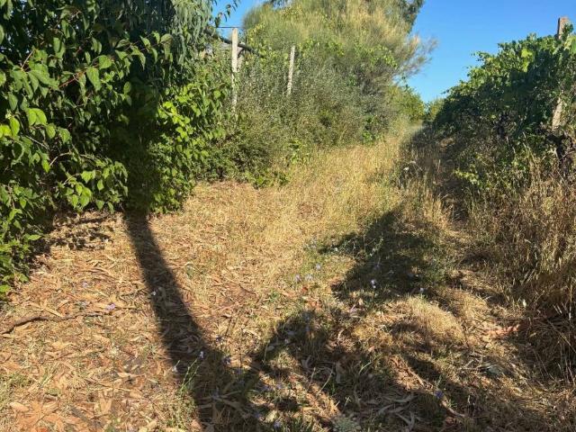 Terreno in vendita a Roma Capitale, Lazio