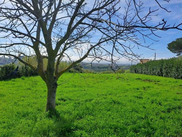Terreno in vendita a Roma Capitale, Lazio