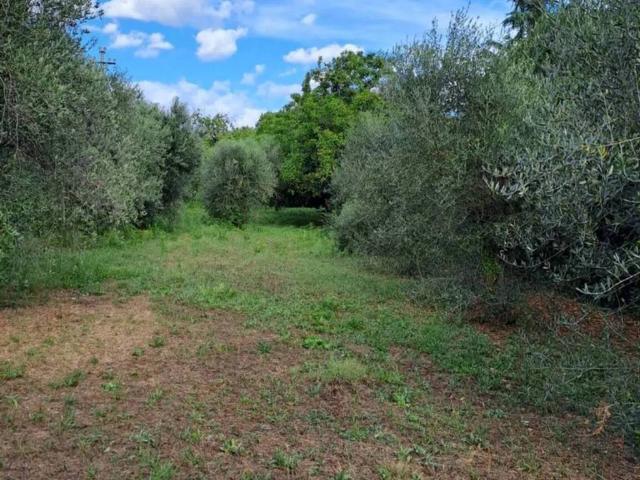 Terreno in vendita a Colle degli Dei, Roma Capitale