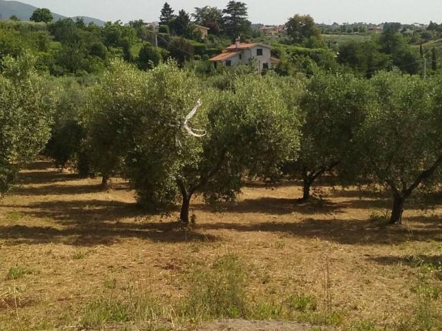 Terreno in vendita a Roma Capitale, Lazio