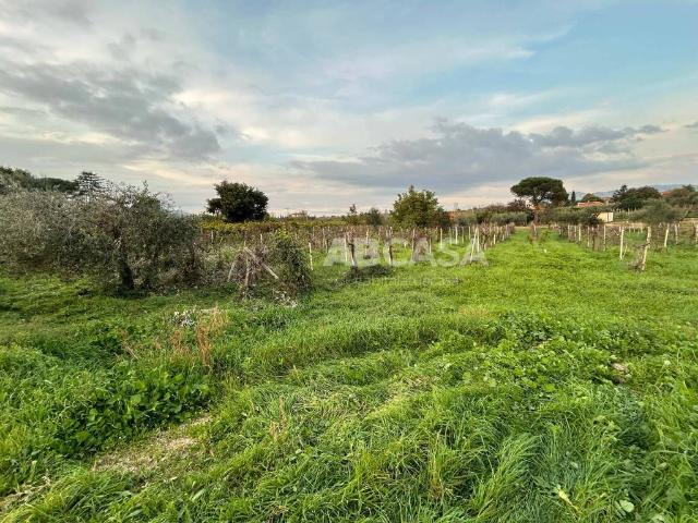 Terreno in vendita a Roma Capitale, Lazio
