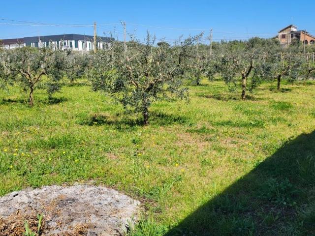 Terreno in vendita a Contrada Soleluna, Roma Capitale