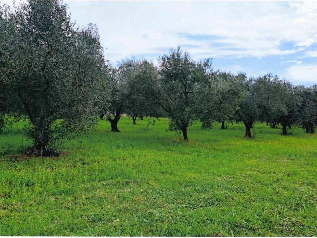Terreno in vendita a Contrada Soleluna, Roma Capitale