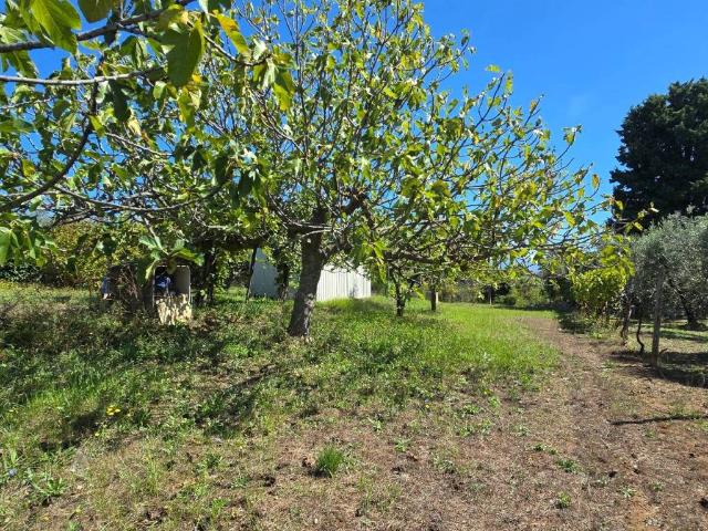 Terreno in vendita a Roma Capitale, Lazio