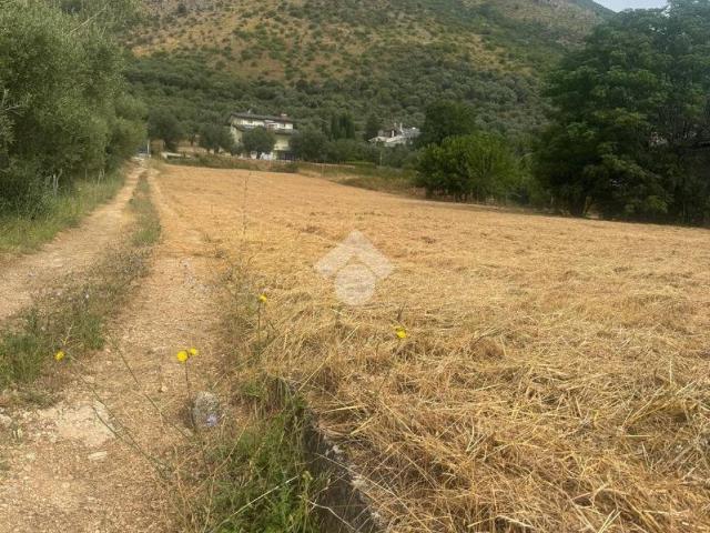 Terreno in vendita a Venafro, Molise