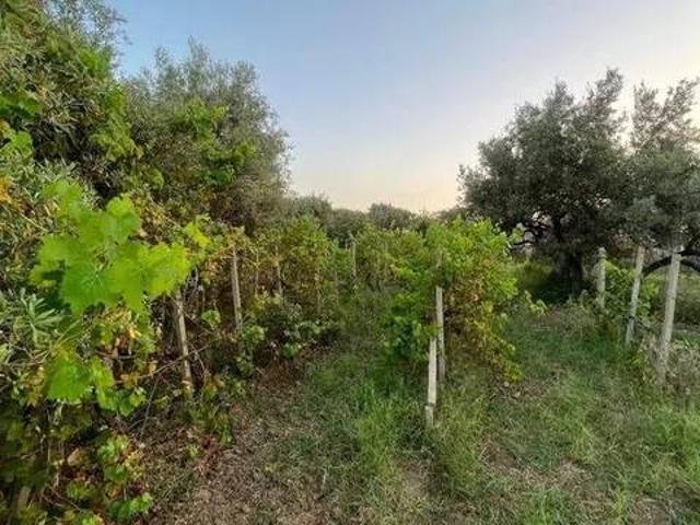 Terreno in vendita a Venetico, Sicilia
