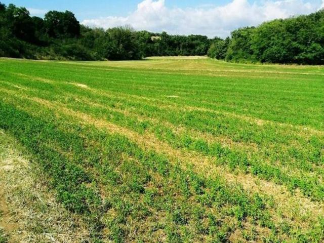 Terreno in vendita a Campalto, Venezia