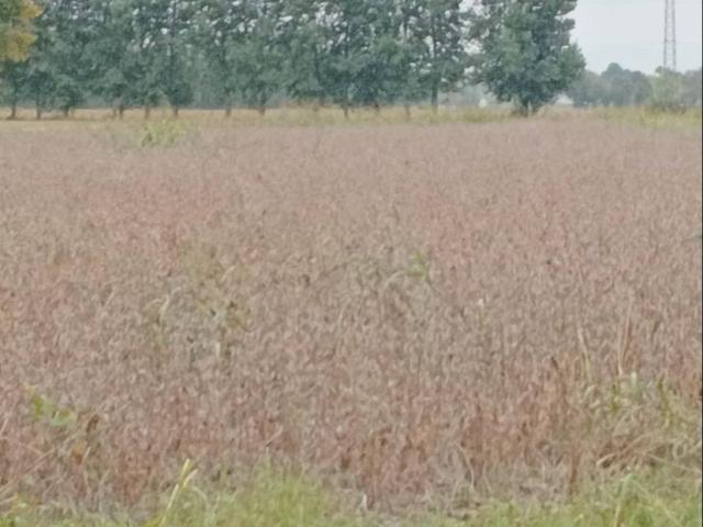 Terreno in vendita a Mestre-Carpenedo, Mogliano Veneto