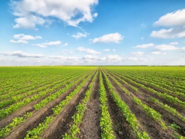 Terreno in vendita a Venezia