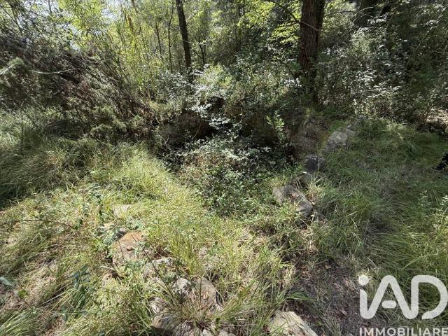 Terreno in vendita a Ventimiglia, Liguria