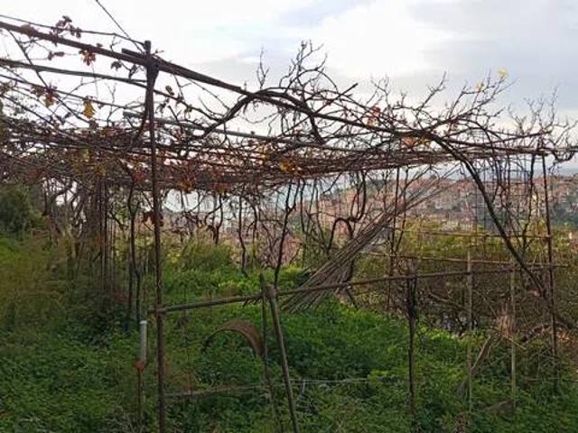 Terreno in vendita a Ventimiglia, Liguria