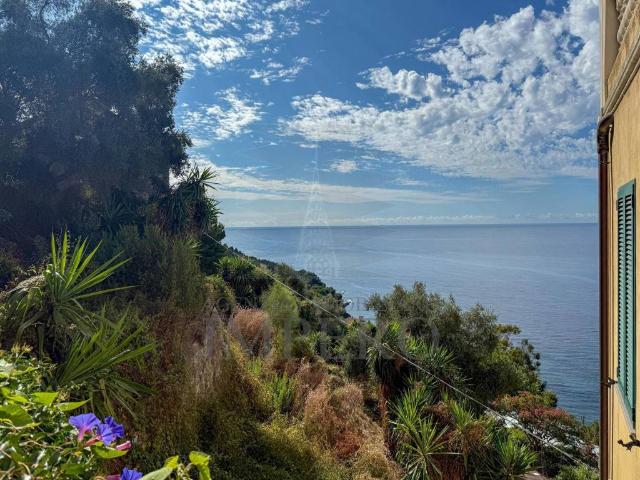 Terreno in vendita a Grimaldi Inferiore, Ventimiglia