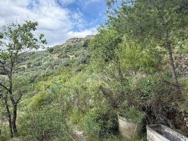 Terreno in vendita a Ventimiglia, Liguria