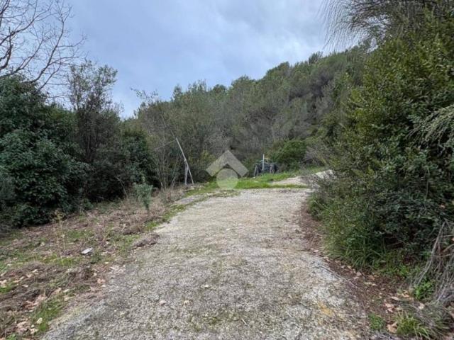 Terreno in vendita a Bevera, Ventimiglia