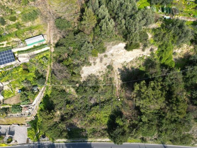 Terreno in vendita a Ventimiglia, Liguria