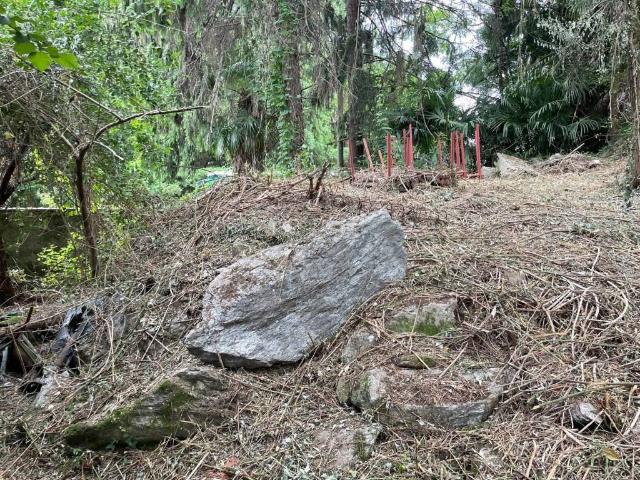Terreno in vendita a Piemonte, Verbano-cusio-ossola