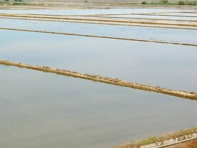 Terreno in vendita a Piemonte, Vercelli