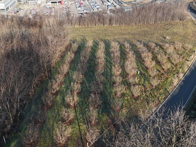 Terreno in vendita a Piemonte, Cuneo