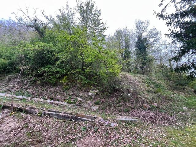 Terreno in vendita a Cereglio, Vergato