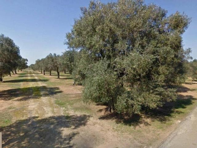 Terreno in vendita a Puglia, Lecce