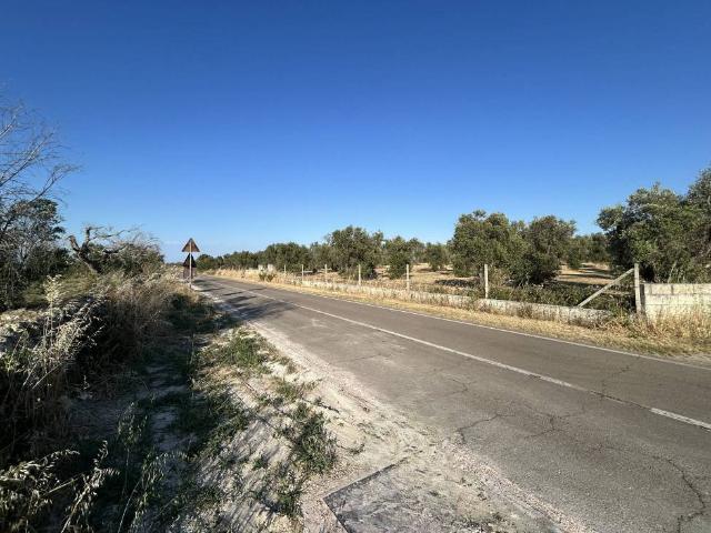 Terreno in vendita a Puglia, Lecce