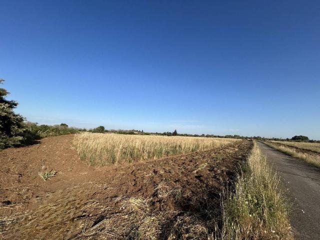 Terreno in vendita a Puglia, Lecce