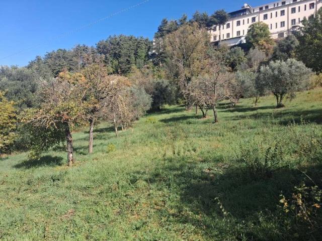 Terreno in vendita a Veroli, Lazio