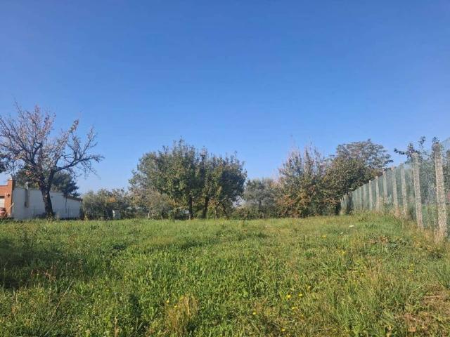 Terreno in vendita a Veroli, Lazio