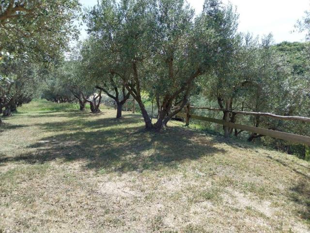 Terreno in vendita a Nord-Est, Brenzone