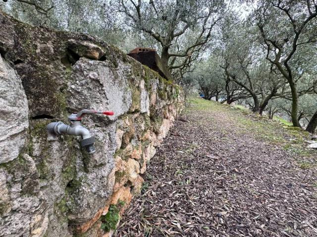 Terreno in vendita a Nord-Ovest, Brenzone