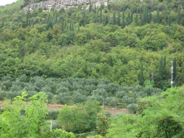 Terreno in vendita a Nord-Ovest, Brenzone