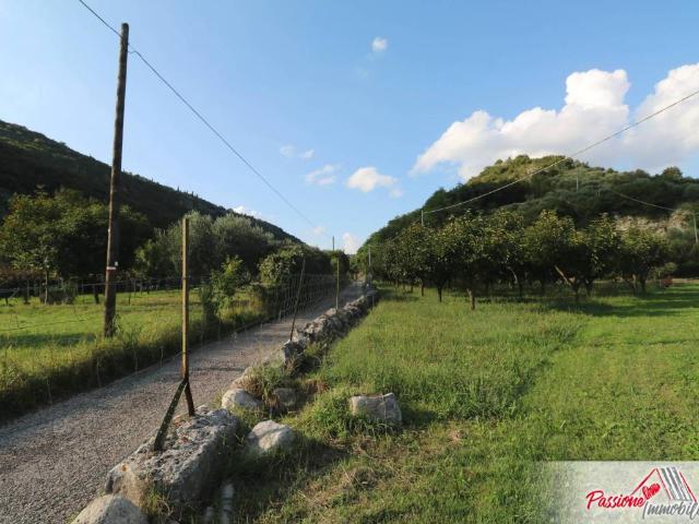 Terreno in vendita a Nord-Ovest, Brenzone