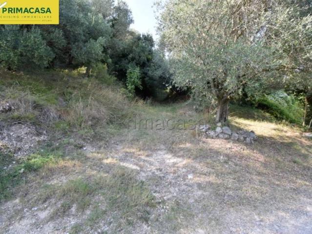 Terreno in vendita a Marzana, Brenzone