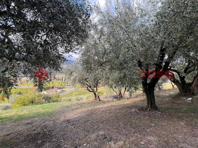 Terreno in vendita a Sezano, Verona
