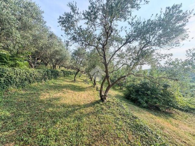 Terreno in vendita a Nord-Ovest, Brenzone