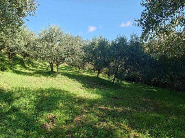 Terreno in vendita a Nord-Ovest, Brenzone