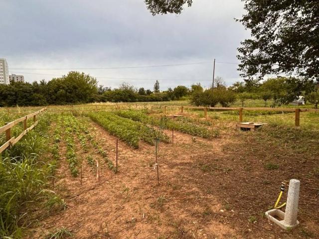 Terreno in vendita a Ovest, Brenzone