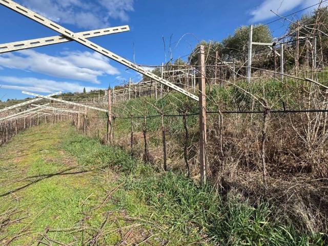 Terreno in vendita a Nord-Ovest, Brenzone