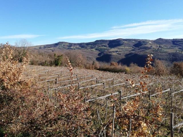 Terreno in vendita a Nord-Est, Brenzone