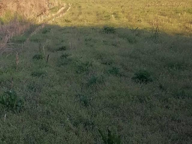 Terreno in vendita a Sud-Est, Brenzone