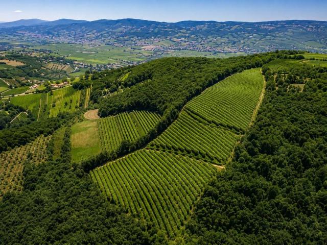 Terreno in vendita a Nord-Est, Brenzone