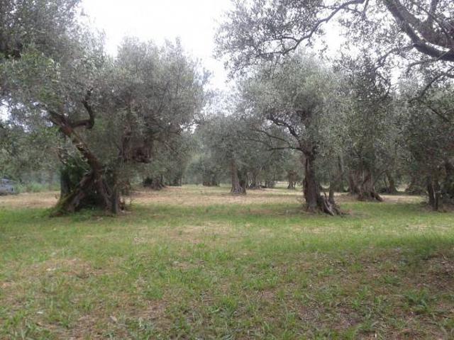 Terreno in vendita a Unione di comuni Valmarecchia, Verucchio
