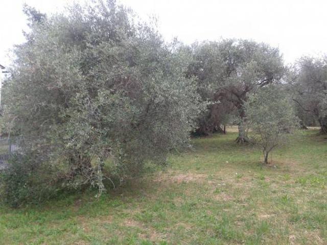 Terreno in vendita a Unione di comuni Valmarecchia, Verucchio