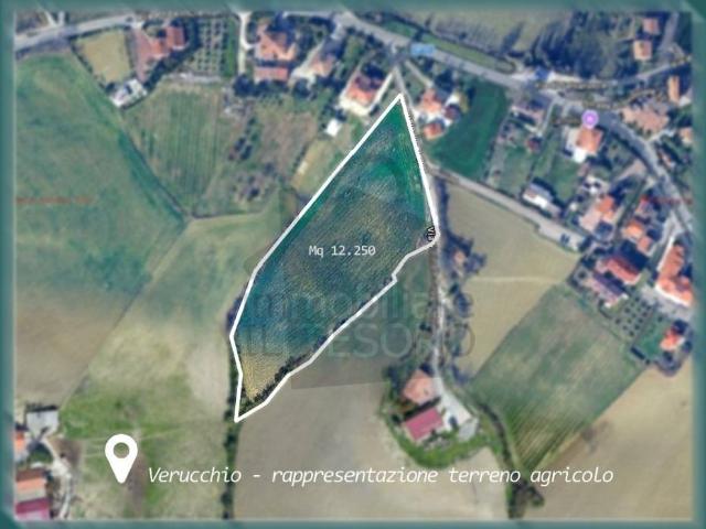 Terreno in vendita a Unione di comuni Valmarecchia, Verucchio