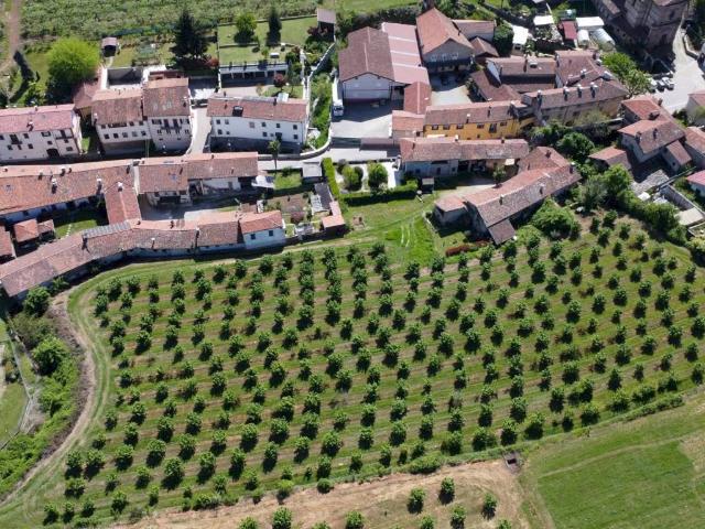 Terreno in vendita a Papò, Piemonte
